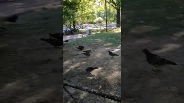 при месяце сне дети гуляют сразу захватили весь мир