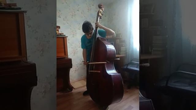 D Moll Концерт.Бах.