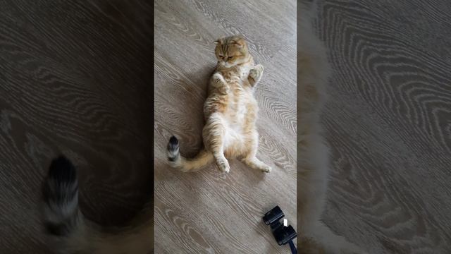 А Вы были на Таити!????