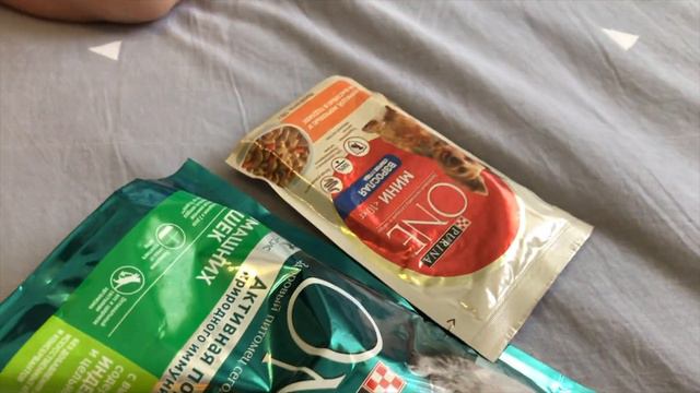 Матвей Играет С Кошкой И Собакой