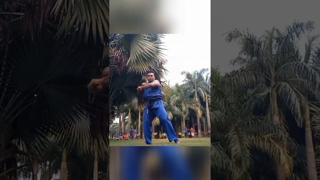 #speedrun #nunchucks #vandamme #kickboxing #balance #scottadkins #america #universe #unique