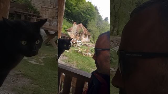 серьёзный разговор