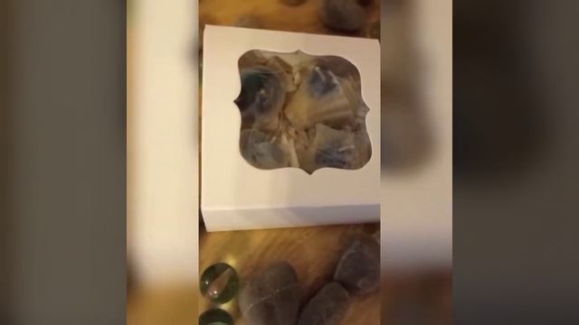 свечи как морские ракушки Candles Handmade из пчелиного воска ручной работы @zamoksophy