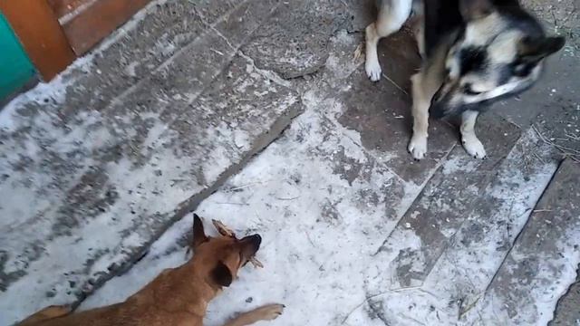 06adead46036489d881470005e3fd939