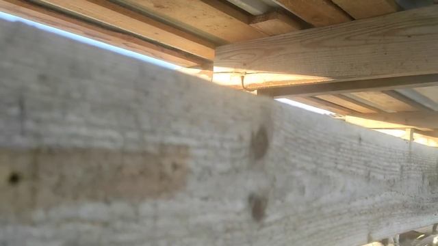 Замёрзла на хозяйстве.Козы зимой на улице целый день.Козлёнок.Коровы