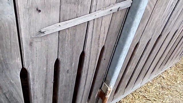 Свежие фрукты и овощи для любимого Лешки,Fresh Fruits And Vegetables