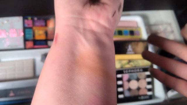 2023 EyeShadow/Eye Makeup Collection Plus Small Declutter