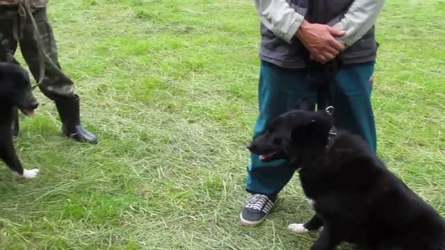 E3bb86b373c792cc713c7ceb8f2b33b4