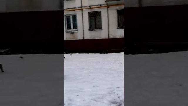 B5b0065c703b91585ada8e89e4fb4902