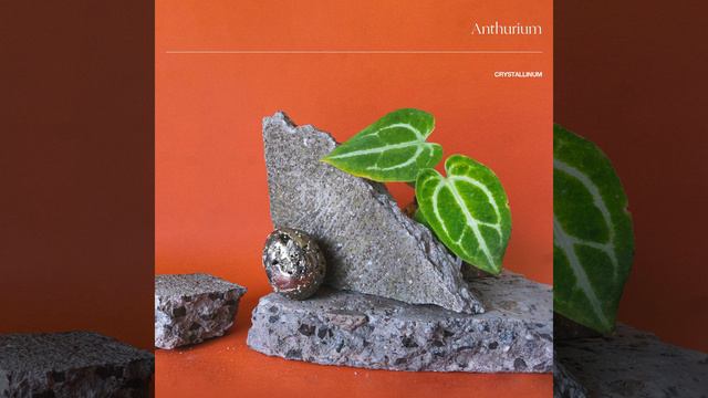 Syngonium Batik