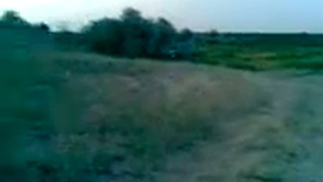 Степной наездник