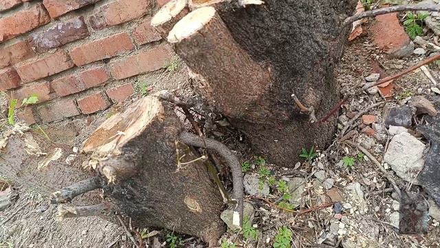 на заброшки вторая часть