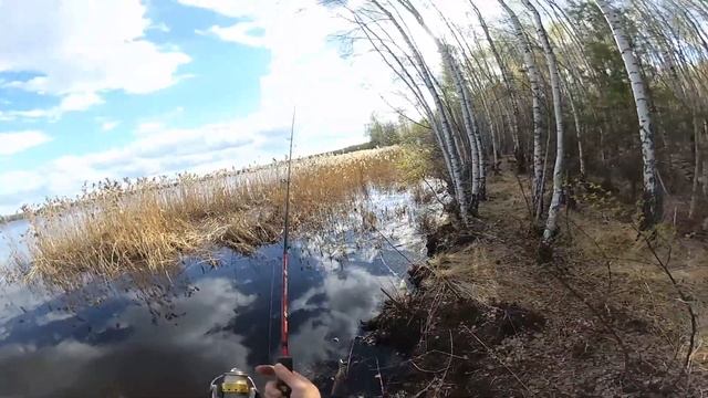 Тест Xiaomi YI 4k Action Camera на рыбалке в 1080 Ultra 60 Fps рыбий глаз