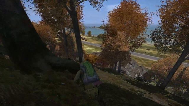 DayZ Standalone White List RP?