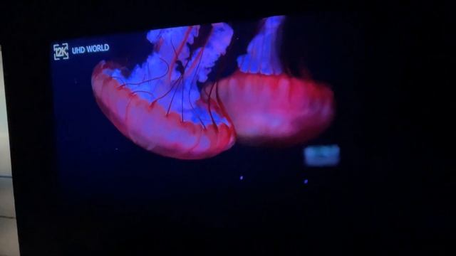 VAVA Chroma 4K HDR Laser TV