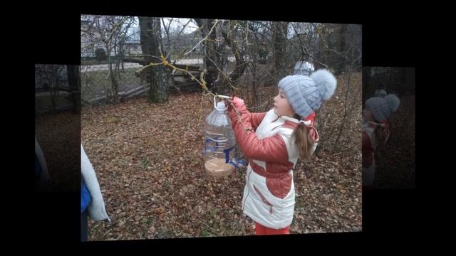 Годівничка для синички