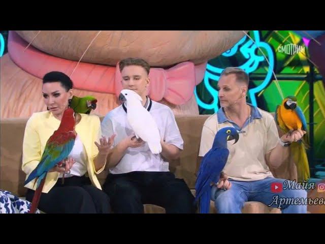 Ad8d728100a5bf5b2907a3e49f287435