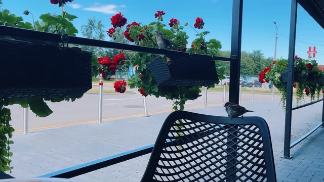 B5d9843405a24d31d578b9c65c21d03c