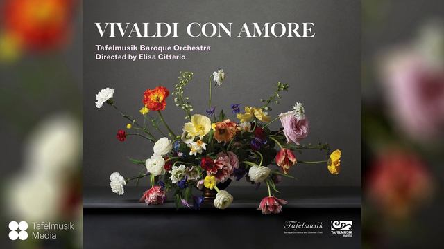 Vivaldi Con Amore: Concerto For 4 Violins In B-flat Major, RV 553: III. Allegro | Tafelmusik