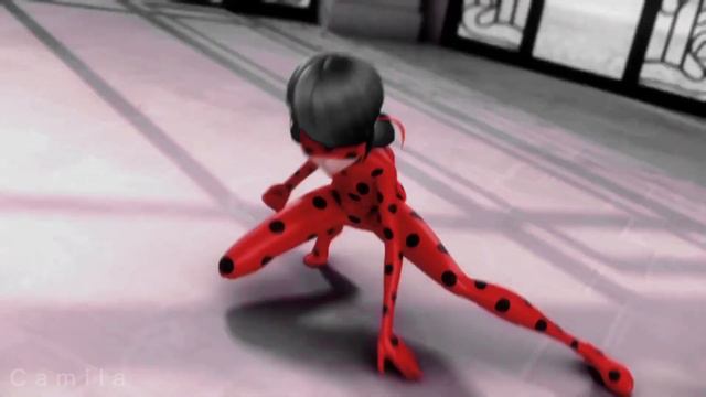 Miraculous Ladybug | Daisy ♡ Tik Tok song