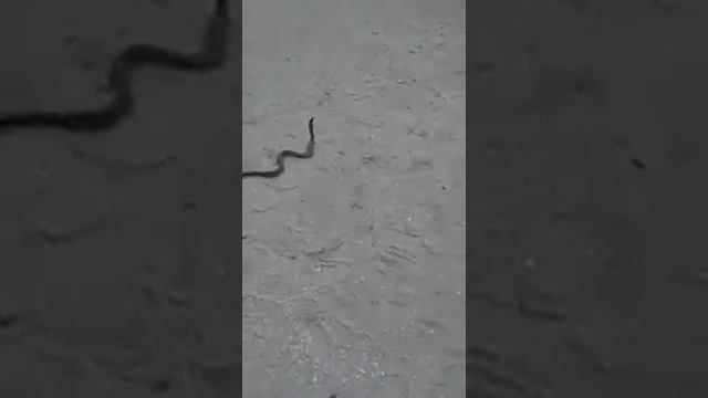 63708794c06fdc27fa2093f93db21a1b