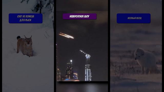 Наш невероятный мир