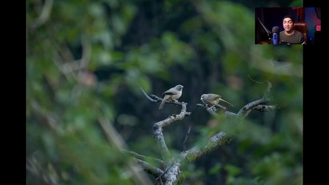 Lighting Composition Editing Explained | Workshop 59 - HINDI + ENGLISH