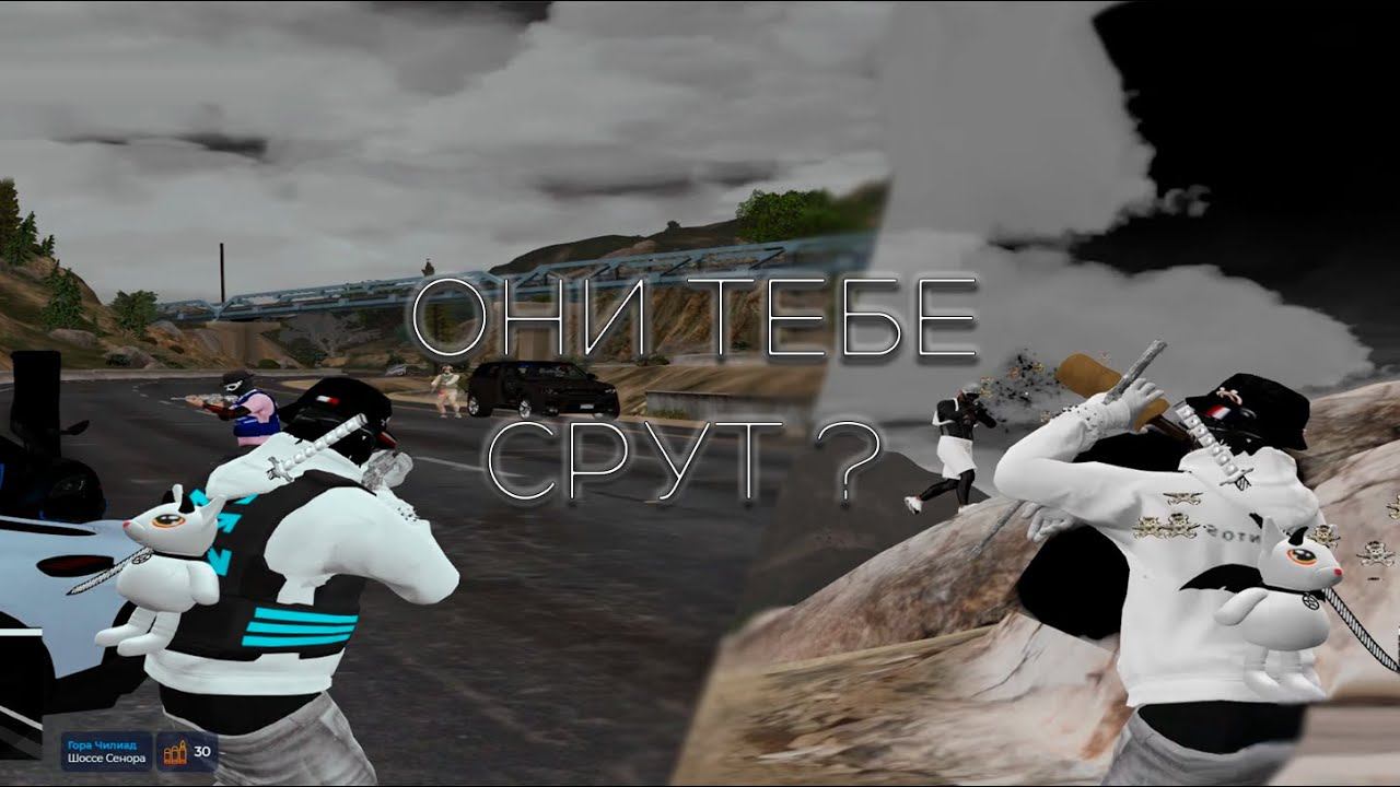 Они тебе срут ? ❤️