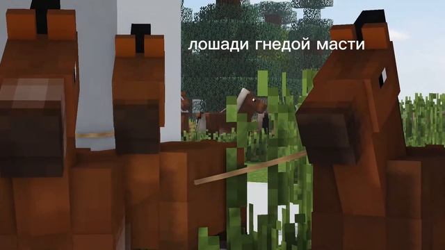Генетика в моде Realistic Horse Genetic (1 часть) 