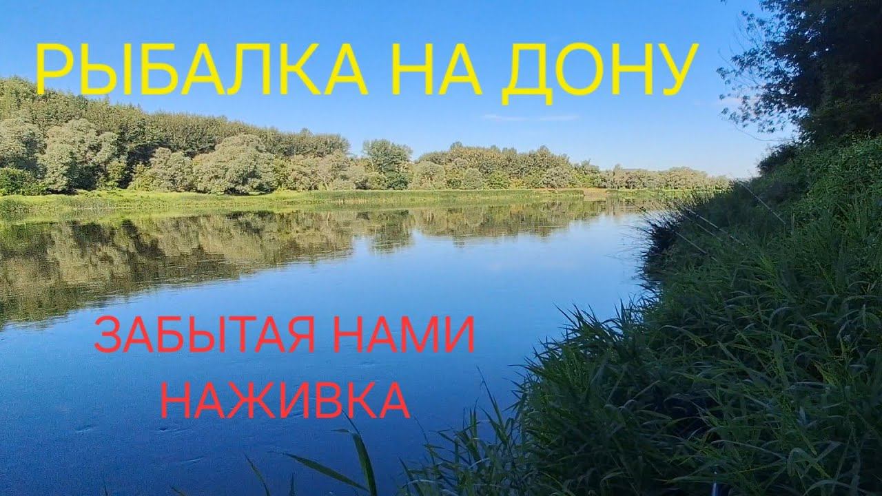 1d33a4ce511d8c78384e6ed762a575a4