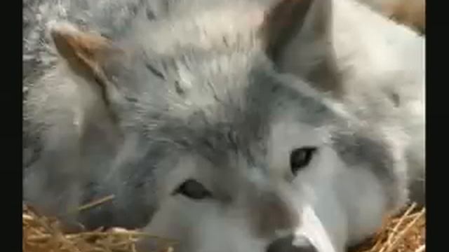 63a1f057b5d6bcfb65b853d15d74a572