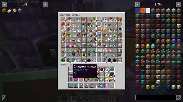 Minecraft 1.19 с модами #13