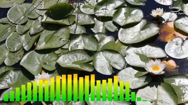 Это Безумно Красивая Мелодия, трогающая до глубины души и тела.