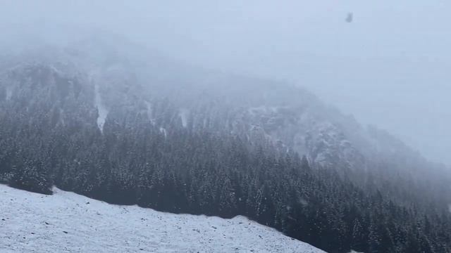 Альпийский снежный Oberstdorf ??