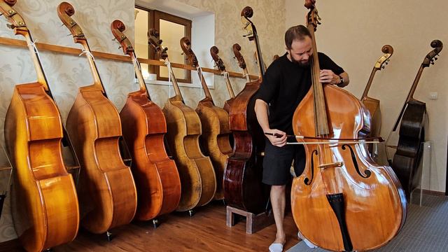 Контрабас №117