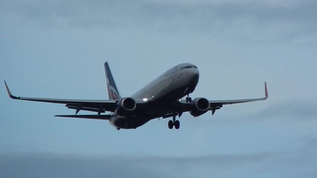 Boeing 737-800 Аэрофлот