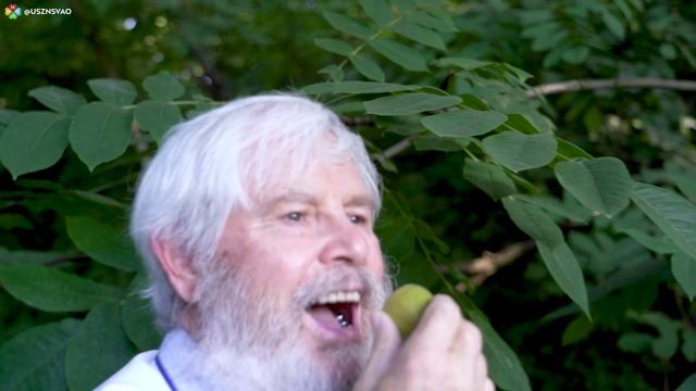 Ботанический сад им. Н.В. Цицина