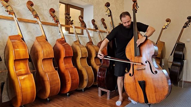 Контрабас №113