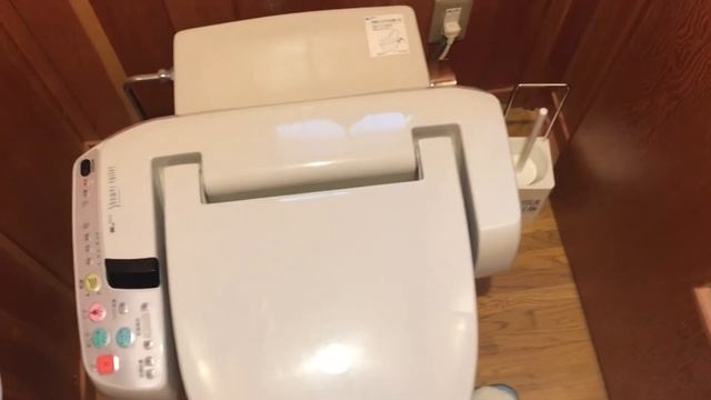 Где кнопка слива в Японских туалетах?