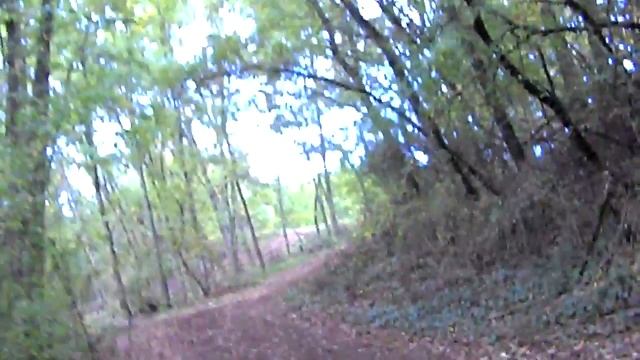 Yamaha Raptor 350/  Linhai 300 By Ctrobidon