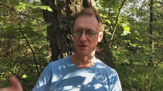 Царьград поссорил Россию и Google. Кто победит?