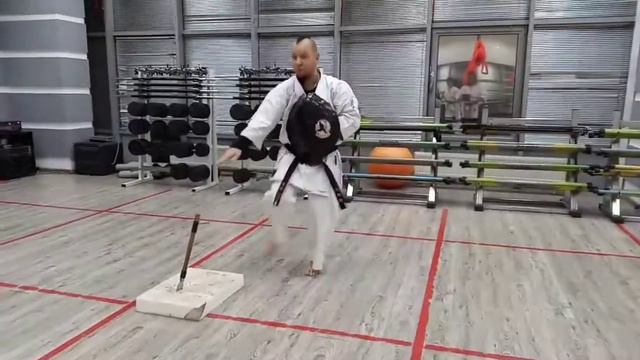 Kanegawa No Tinbe (excerpt), Ryukyu Kobudo Kata With Shield Tinbe And Rochin / ティンベー Tinbe Shield