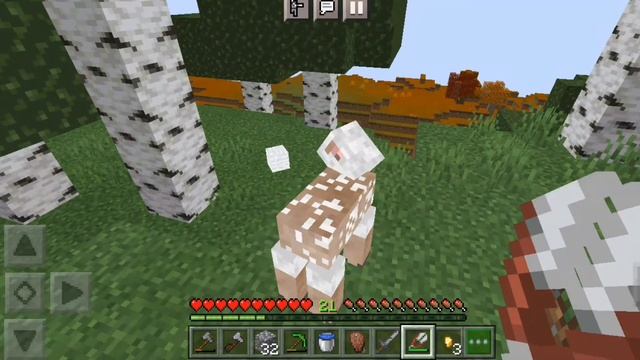 Lp. Insanium Reality #3 Рюкзак • Майнкрафт