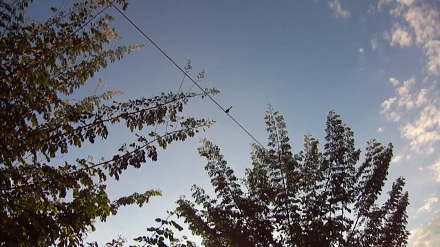 Primeiro Video De Teste Com Minha Sony DSC-W570