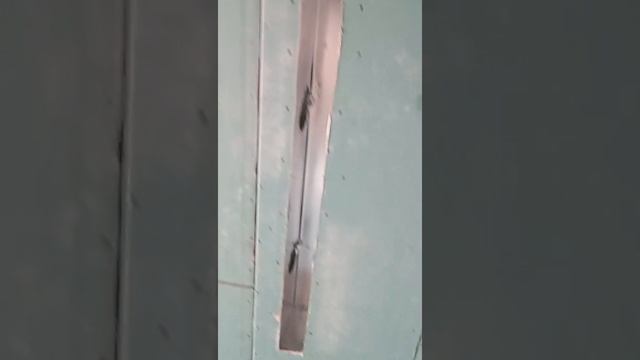 Гипсокартонщики от 