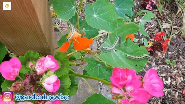 3d9a74be0be63719517777a5d1c9a883