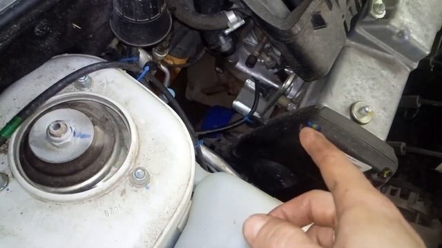 Бокс: путь к лидерству для мужчин