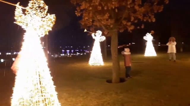 17291172a8cd659a1d01ff1b027b1845