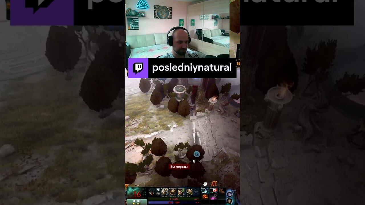 Тима мечты 5х5 #dota 2 #дота 2 #Tiny