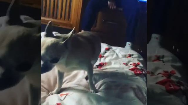 8b1ec9a7b7da4af1d411231b9e554a63